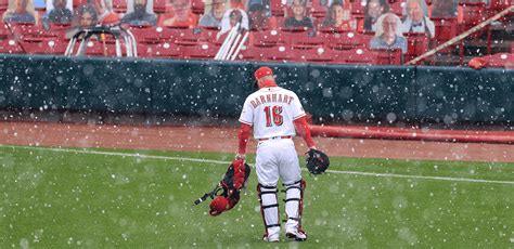 Baseball Sportsbook Rule Can Flip Bets For .